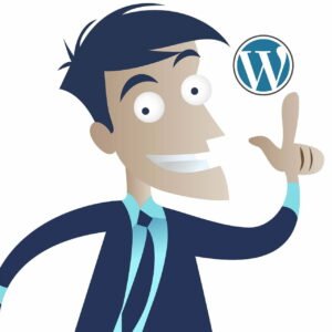 How to display the number of views on a WordPress article