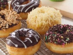 About Donut Microorganisms, Fermentation, Development, And Its Benefits for the Food We Consume Every Day!